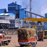 Mechanical Power Transmission products for Sugar Factories