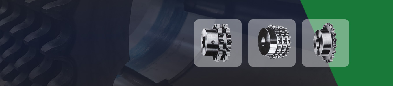 Vertical Mounting Gear Coupling